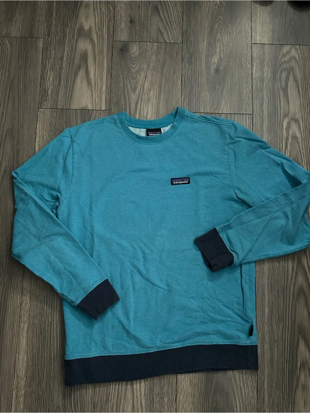 Patagonia Men's Teal Crewneck with Navy Trim